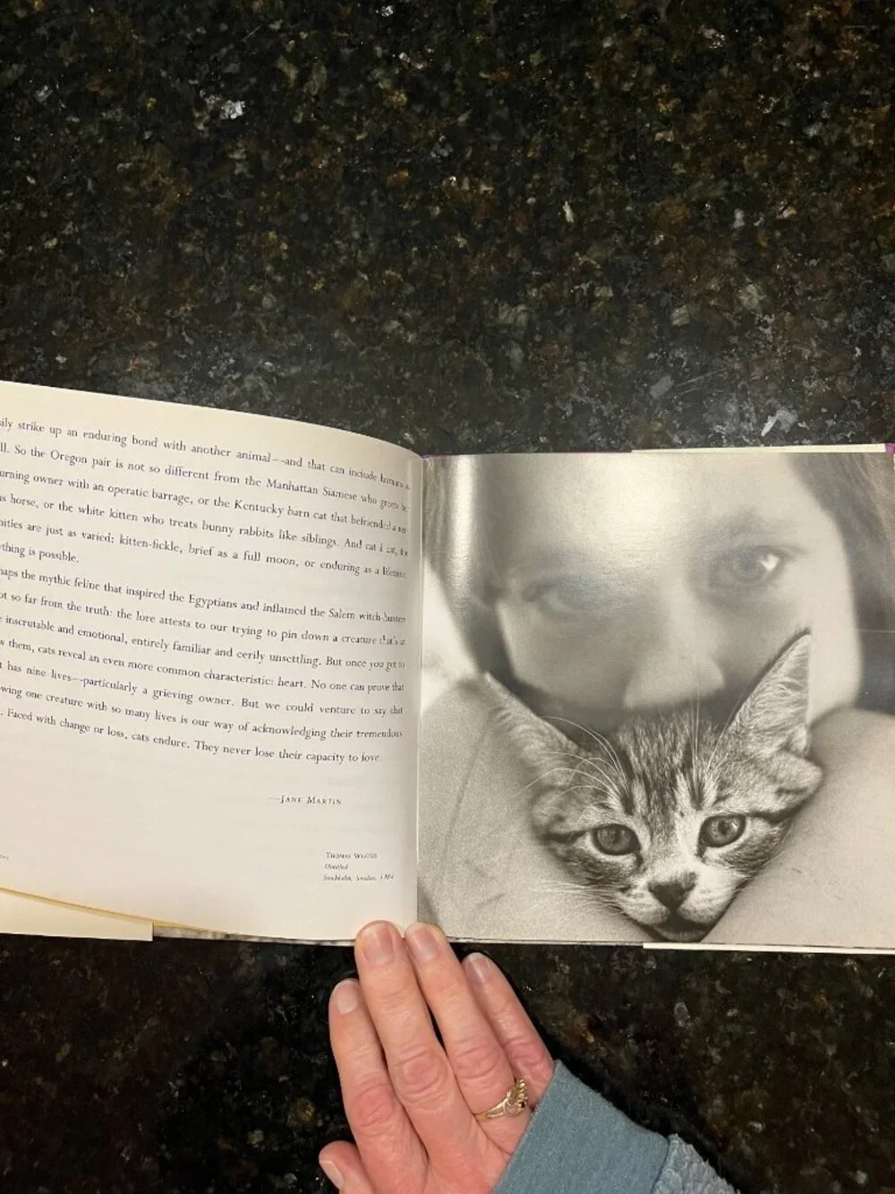 Cats in Love Book A970
